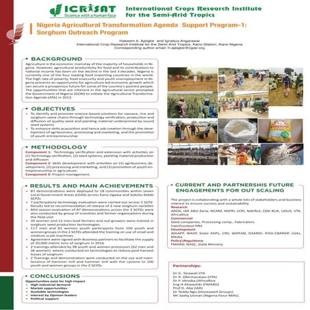 Nigeria Agricultural Transformation Agenda Support Program-1:Sorghum Outreach...