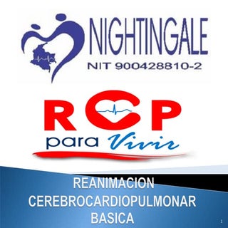Nightingale rccp basico bls adulto ...
