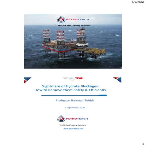 PetroTeach Free Webinar Nightmare of Gas Hydrate by Professor Bahman Tohidi