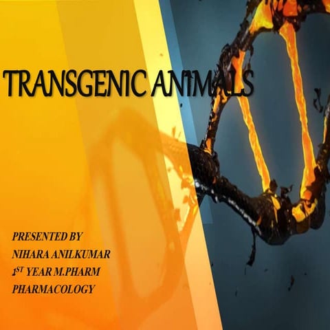 Transgenic animals