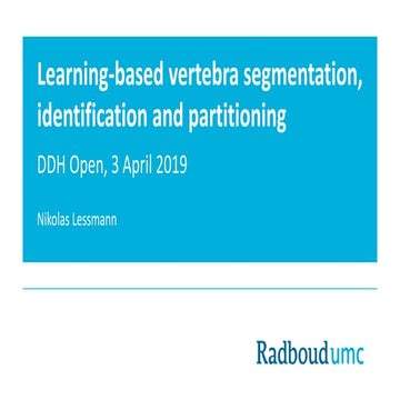 Learning-based vertebra segmentation, identification and partioning