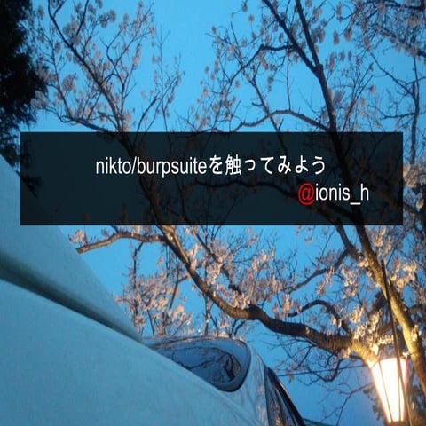 Niktoとかburpsuite触ってみよう