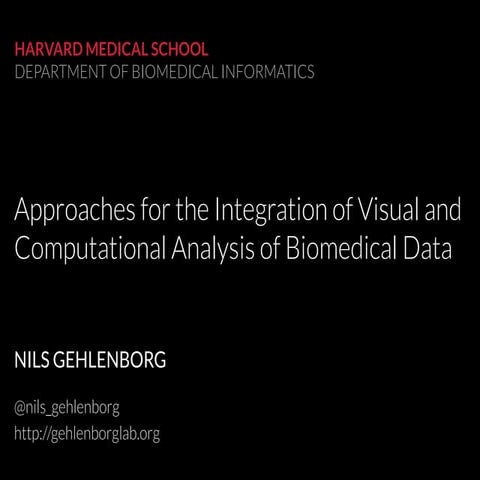 Approaches for the Integration of Visual and Computational Analysis of Biomed...