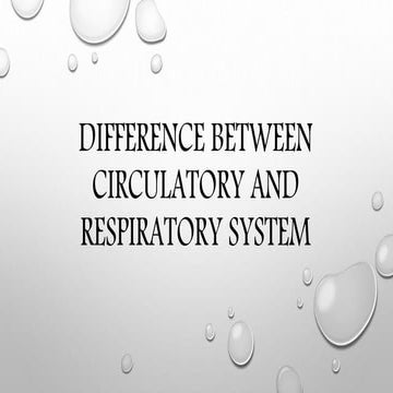 Practicing Good Circulatory and Respiratory System's Health