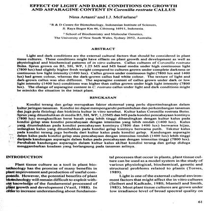 effect light and dark in tissue culture