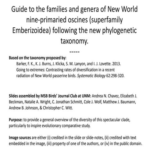 Guide to the families and genera of New World nine-primaried oscine songbirds...