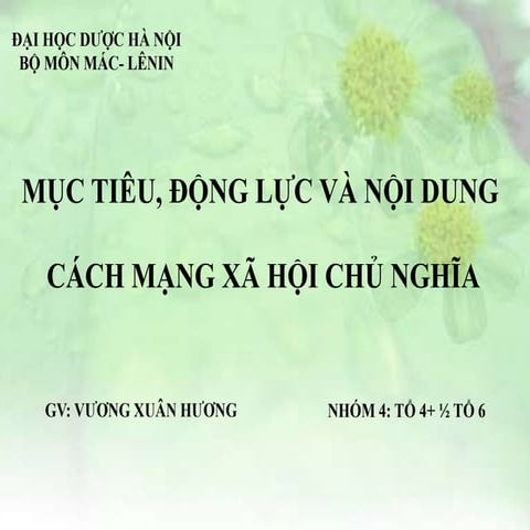 mục tiêu, động lực và nội dung cách mạng xã hội chủ nghĩa