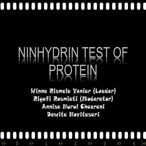 Ninhydrid test of protein