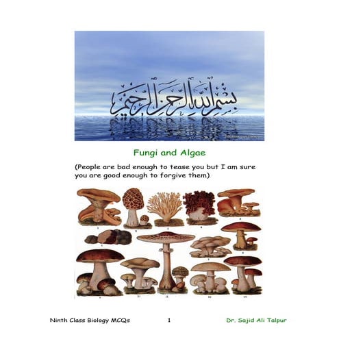 Ninth class biology mcqs ( fungi and algae) | DOC