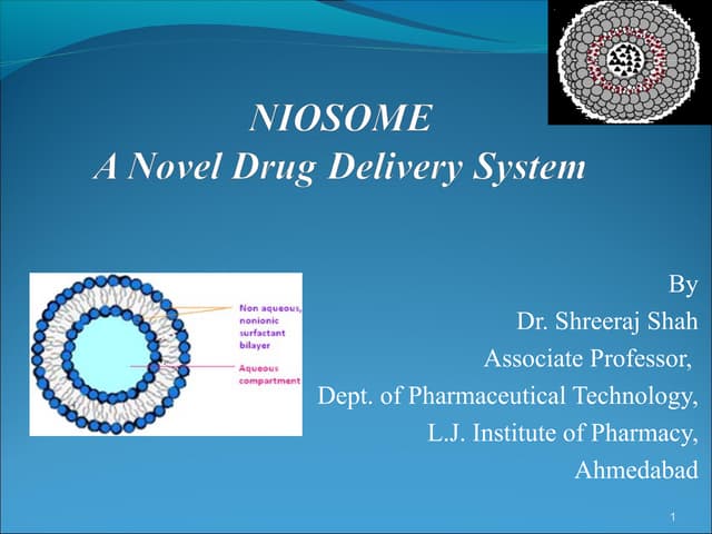 Niosome 