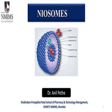 Niosomes | PPTX
