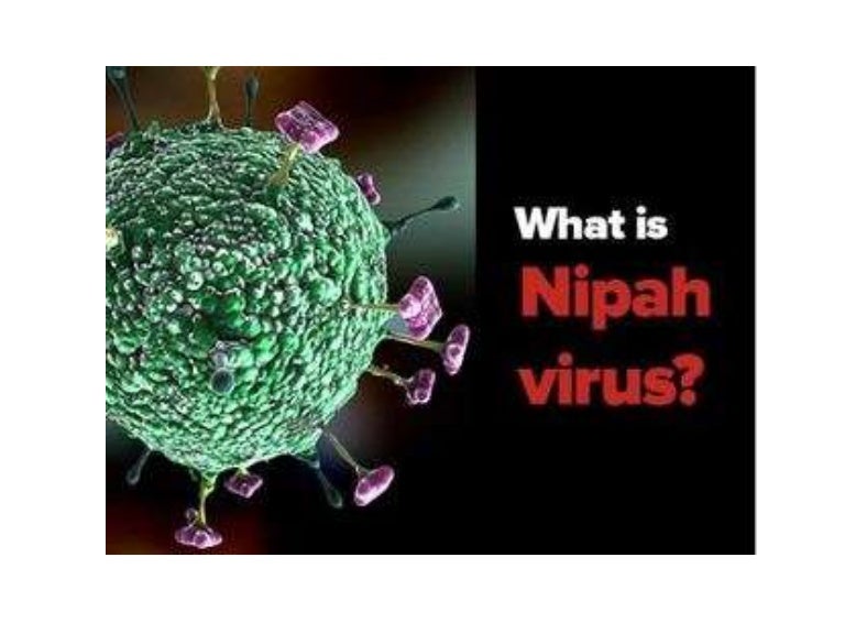 Nipah virus presentation