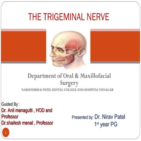 Dr Nirav patel seminar on trigeminal nerve
