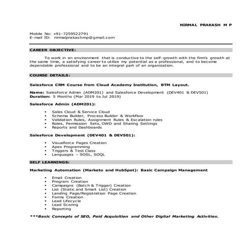 Nirmal prakash M P - Salesforce Development & Admin and Marketing ...