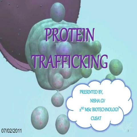 Protein Trafficking.pptx