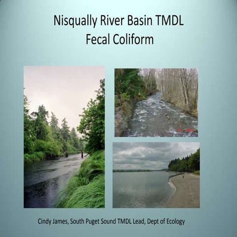 Nisqually TMDL Update