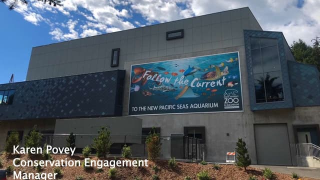 Tacoma Metro Parks Public Engagement