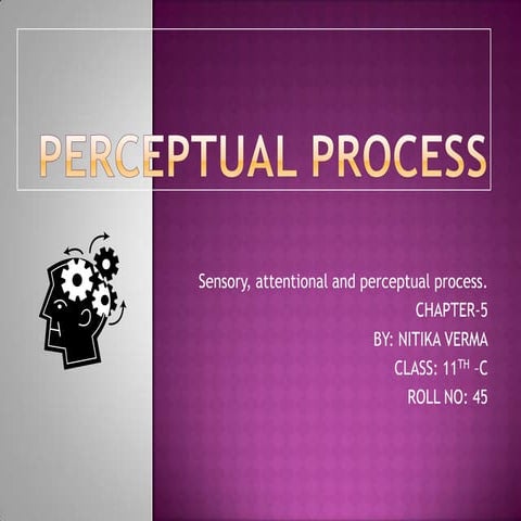 PERCEPTUAL PROCESS