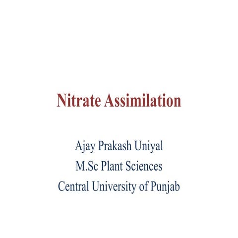 Nitrate assimilation