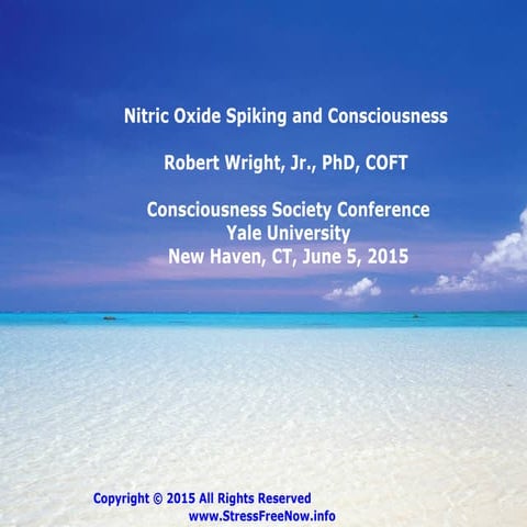 Consciousness Society Conference Presentation: Nitric Oxide Spiking and Consc...