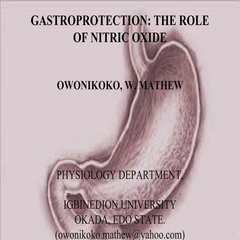 gastroprotective role of nitric oxide | PPT