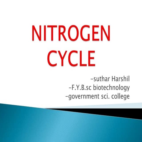 Nitrogen Cycle