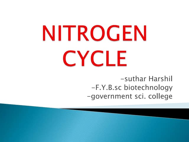 Nitrogen Cycle