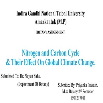 Nitrogen and carbon cycle and their effect on global climate change.