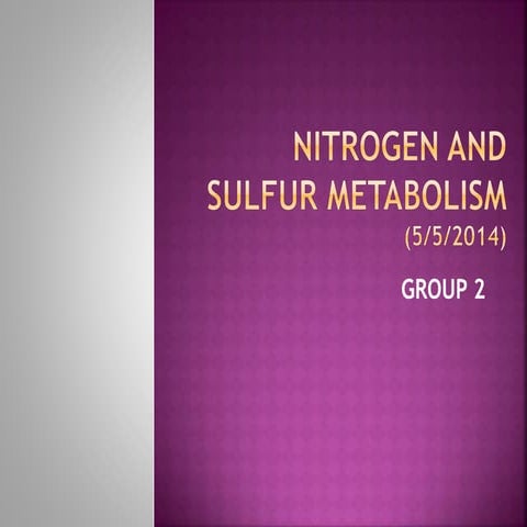 Nitrogen and sulfur metabolism