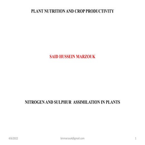 NITROGEN AND SULPHUR ASSIMILATION IN PLANTS.pptx