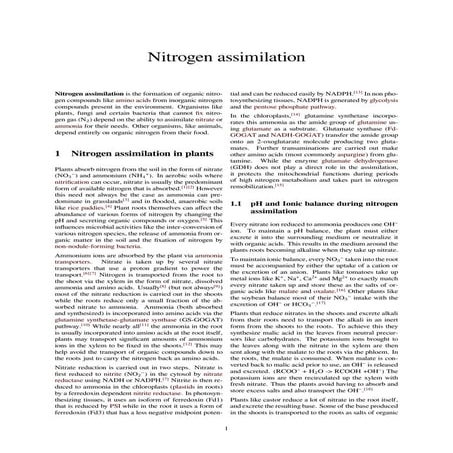 Nitrogen assimilation