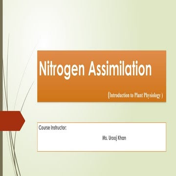 Nitrogen Assimilation in Environment for Plant