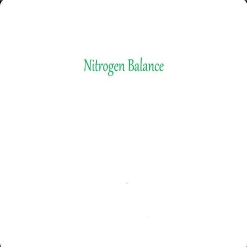 Nitrogen Balance.pdf