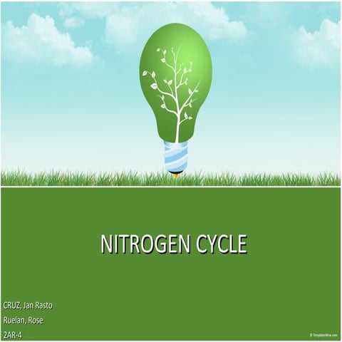 Nitrogen cycle