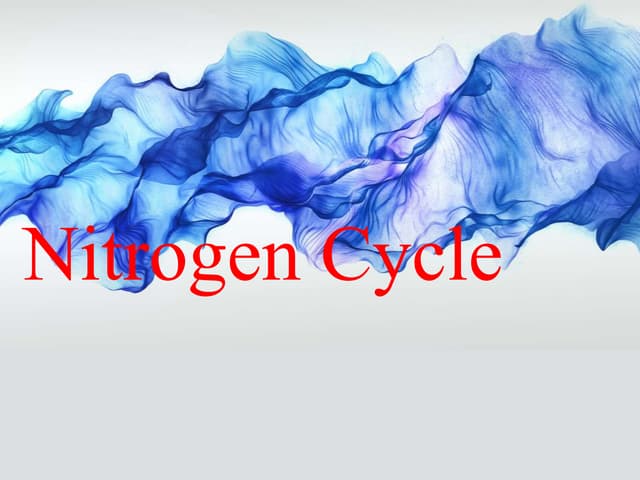 Nitrogen cycle