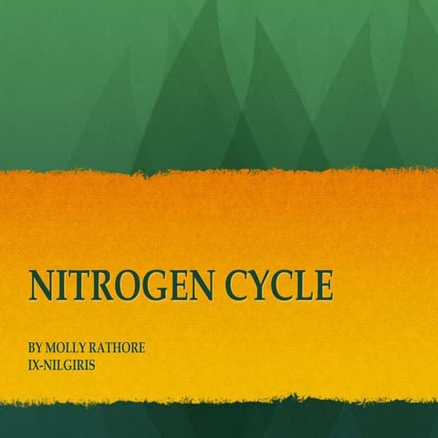 Nitrogen cycle 
