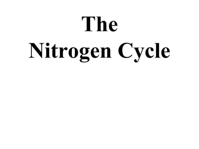 Nitrogen cycle - Honors only 2.04