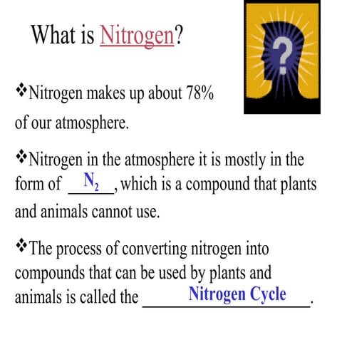 Nitrogen cycle