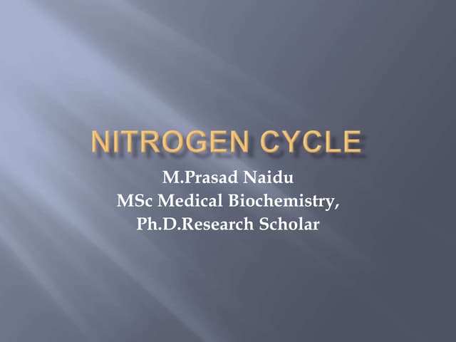 Nitrogen cycle