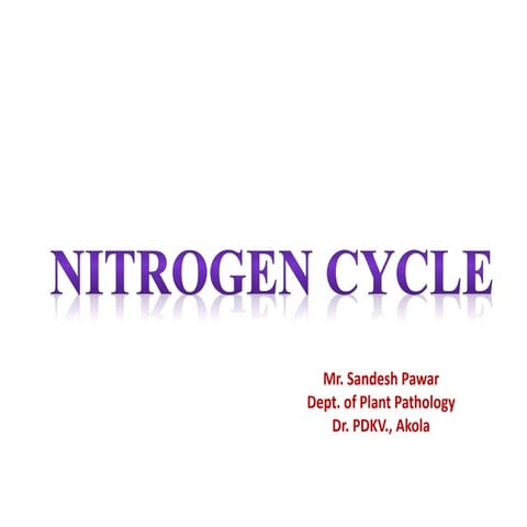 Nitrogen cycle