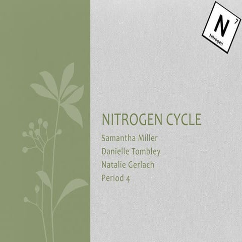 Nitrogen cycle PERIOD 4