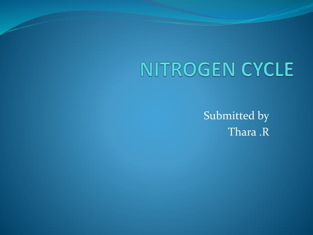 Nitrogen cycle
