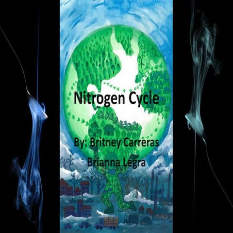 Nitrogen cycle PERIOD 5