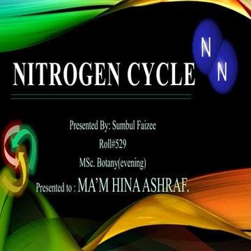 Nitrogen cycle