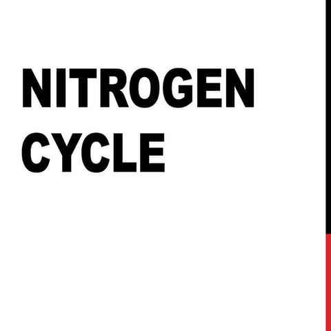 Nitrogen cycle and NITROGEN FIXATION