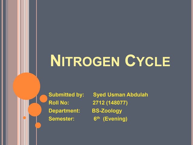 Nitrogen cycle