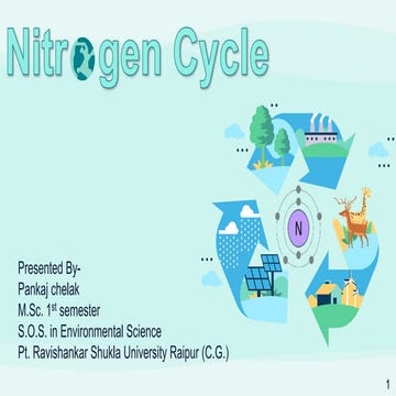 Nitrogen cycle