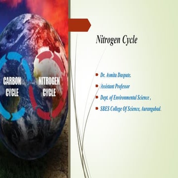 Nitrogen cycle