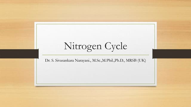Nitrogen cycle.ppt