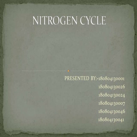 Nitrogen cycle (1) 1